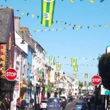 No 20 Killarney Holiday Village, 基拉尼 — 照片 3