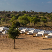 Rohida Luxury Desert Safari Camp Osian, Осиян — фото 4