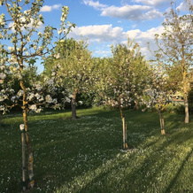 Erlebnis- und Genusshof Tietze, Spalt — photo 4