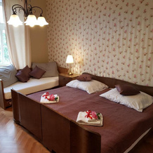 Vila Janáčkova - 1st republic villa, 特鲁特诺夫 — 照片 3