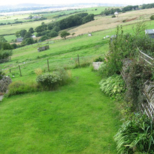 Midsummer Barn, 达温 — 照片 5