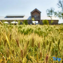 Sangha Farm Farmer’s Village Hotel, Byeonsan — photo 5