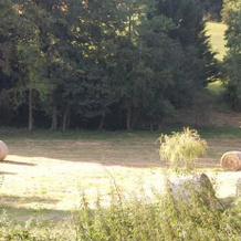 Gite Rural Le Balloir, Lys-Haut-Layon — photo 4