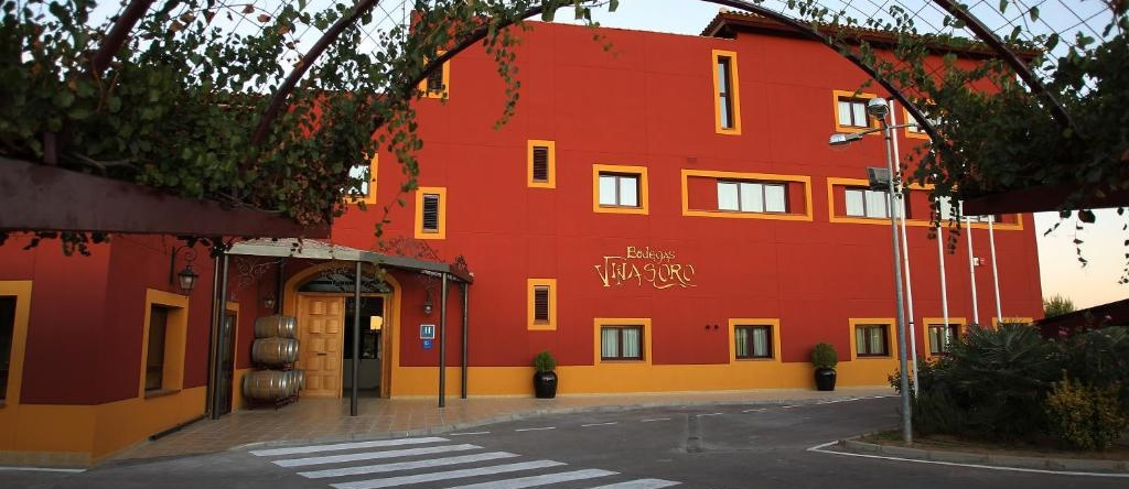Hotel Chateau Vinasoro, 阿尔卡萨尔德圣胡安 — 照片 1