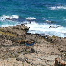 Farmhouse On The Rocks, Albertinia — photo 2