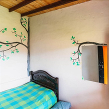 Las Cometas Hostel, 杰里科 — 照片 5