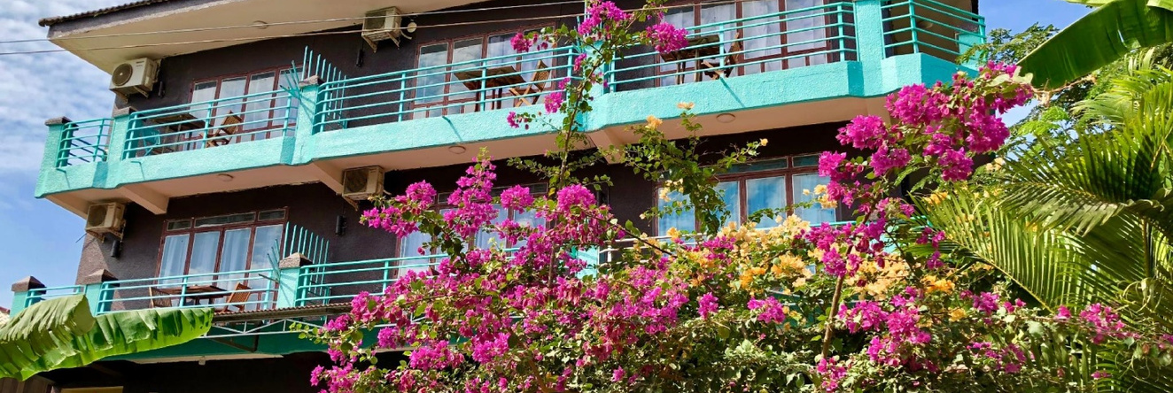 River Dolphin Hotel, 桔井 — 照片 1