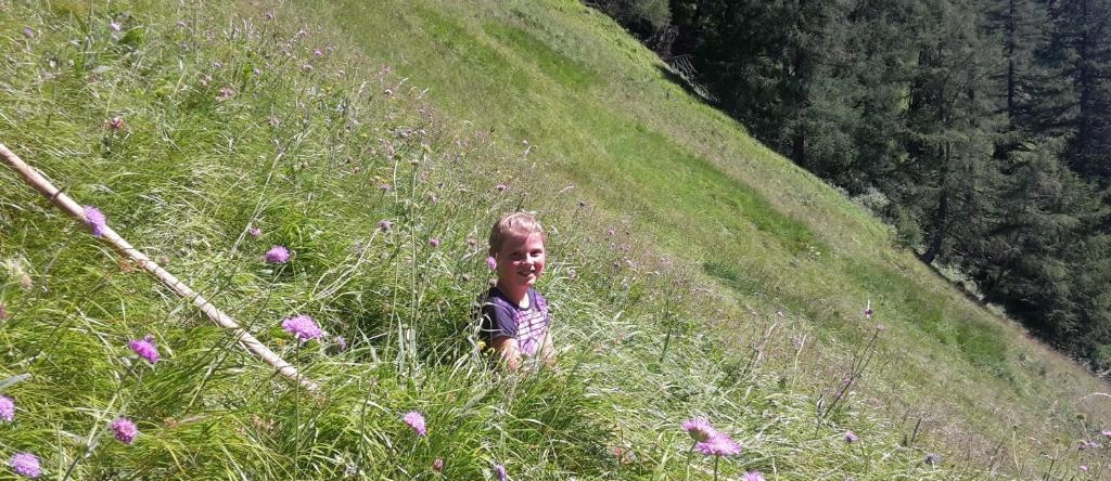 Wurlerhof, Kals am Grossglockner — photo 1