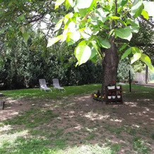Kohári Pincészet Üdülőház, Egerszalok — photo 4