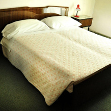 Albergo Trieste, Lorenzago di Cadore — photo 3