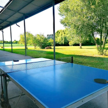 agriturismo Oasi Bettella, Limena — photo 5