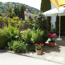 Haus Ritter, 米森-维尔哈姆斯 — 照片 4