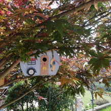ACERO ROSSO B&B in Franciacorta, 埃尔布斯科 — 照片 4