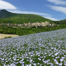 Country House Le Grazie, Серра-Сан-Квйрико — фото 2