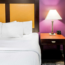 La Quinta Inn & Suites By Wyndham Dfw Airport West - Bedford, Бедфорд — фото 3