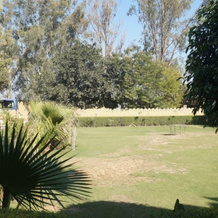 Hotel Surya Vilas Palace, 巴拉特普尔 — 照片 4
