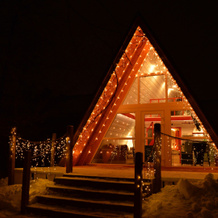 A-Frame Dubhouse Private house, Moscow — photo 5