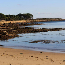 Saint Philibert À 2 Pas De La Mer, Сен-Филибер — фото 2