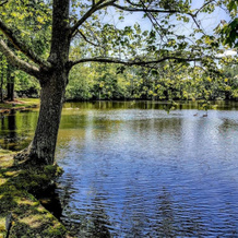 Stockbridge Lakes Bed & Breakfast, Стокбридж — фото 5