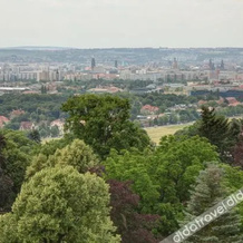 Villa Weisser Hirsch, Dresden — photo 3