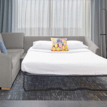 Homewood Suites By Hilton Holland, Holland — photo 3
