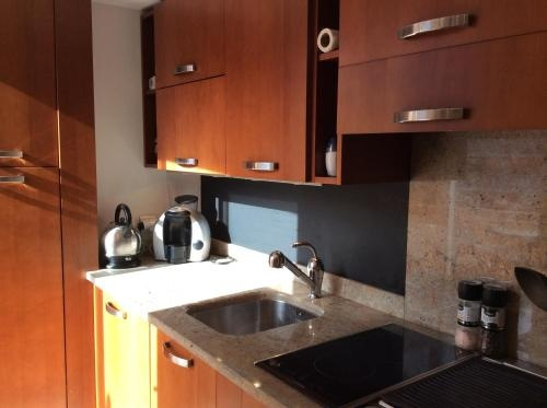 Monaco Penthouse Le Cesar, Босолей — фото 1