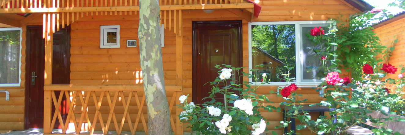 Solnechnoe Hotel, Solnechnogorskoe — photo 1