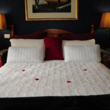 Christina's B&B - Lake Macquarie, 莫里塞特 — 照片 2