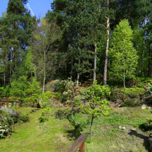 Apartmán pod skálou, Koberovy — photo 2
