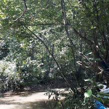Kirkahvesi Garden - Campsite, 奇纳尔哲克 — 照片 2