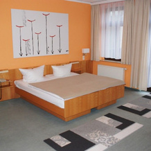 Waldparkhotel Gohrisch, 戈里什 — 照片 4