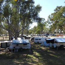 Victoria Lake Holiday Park, 谢珀顿 — 照片 4