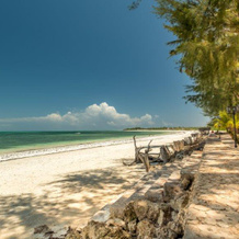 Kae Beach Resort, Michamvi — photo 4