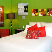 Boga Legaba Guest House & Conference Centre, 马菲肯 — 照片 3