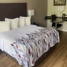 Red Roof Inn Clearfield, 菲利普斯堡 — 照片 3