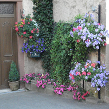 Gite With Views of the Vosges Mountains, Haselbourg — photo 5