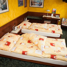 Falken Pub & Motel, Frauenfeld — photo 3