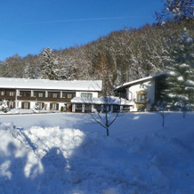 Landhotel Gabriele, 下沃森 — 照片 4