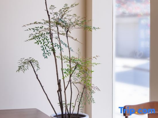 Xiapu Songdao Chenguan Homestay, Ningde — photo 1