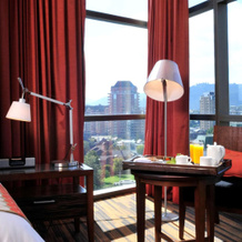 Hotel Dreams Araucania, 特木科 — 照片 2