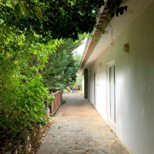 Casa do Galo / Galo House, 维米奥苏 — 照片 3
