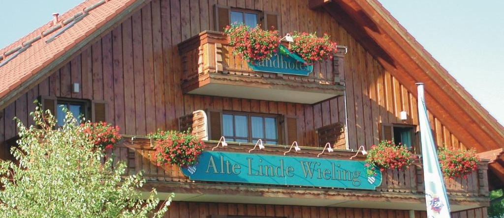 Akzent Hotel Alte Linde Wieling, 费尔达芬 — 照片 1