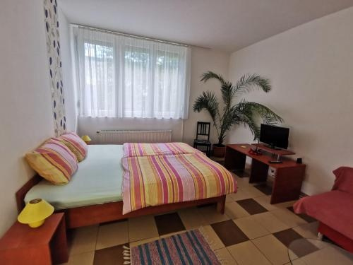 1st Floor Apartman, Szombathely — photo 1