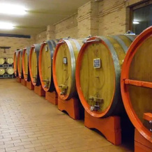 Cantina Monpissan, Канале — фото 2