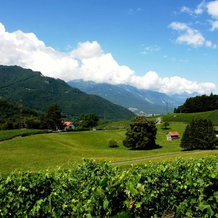 Clos des Caillettes, 贝克斯 — 照片 5