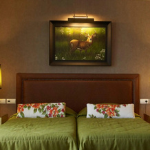Hotel Du Lac Congress Center & Spa, 约阿尼纳 — 照片 5