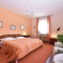 Flat for 10 People With a Large Conservatory at the Edge of the Forest in the Harz Region, Wildemann — photo 5