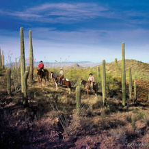 Rancho De Los Cabelleros, Wickenburg — photo 5