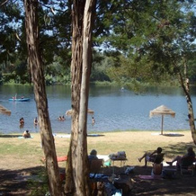 Monte Da Courela, Мора — фото 4