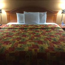 La Posada Inn, Alamo — photo 5